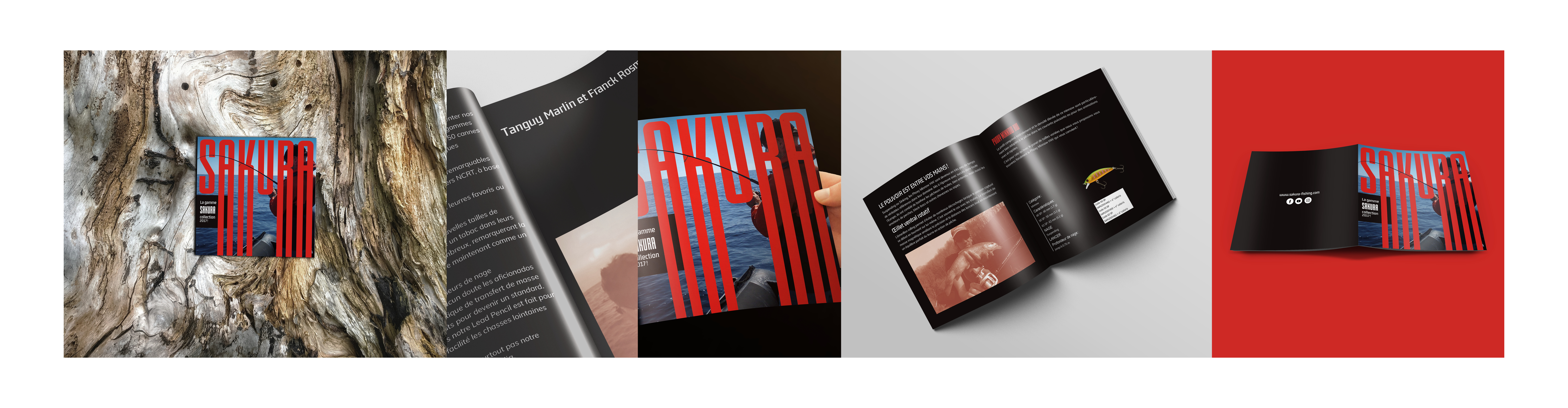 Mohamed Grod - portfolio